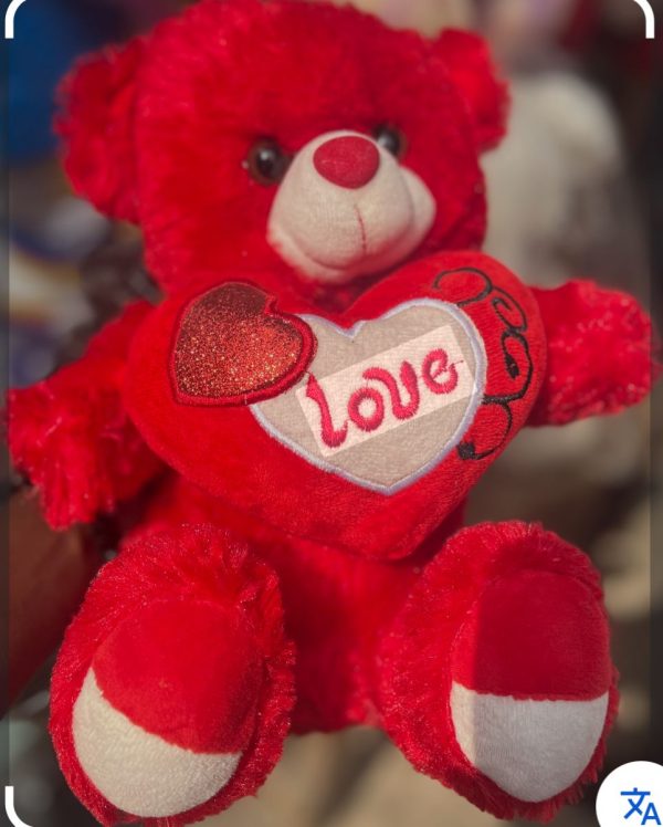 Red Love Kids Teddy Bear